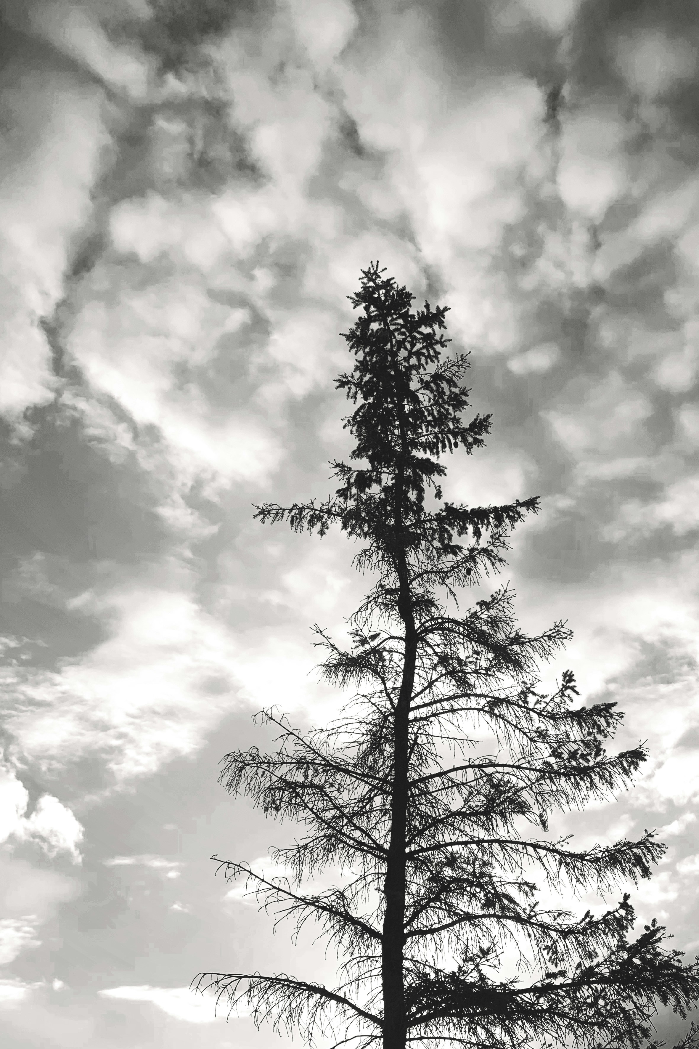 How to Heal From Trauma: 5 Effective Strategies To Recover