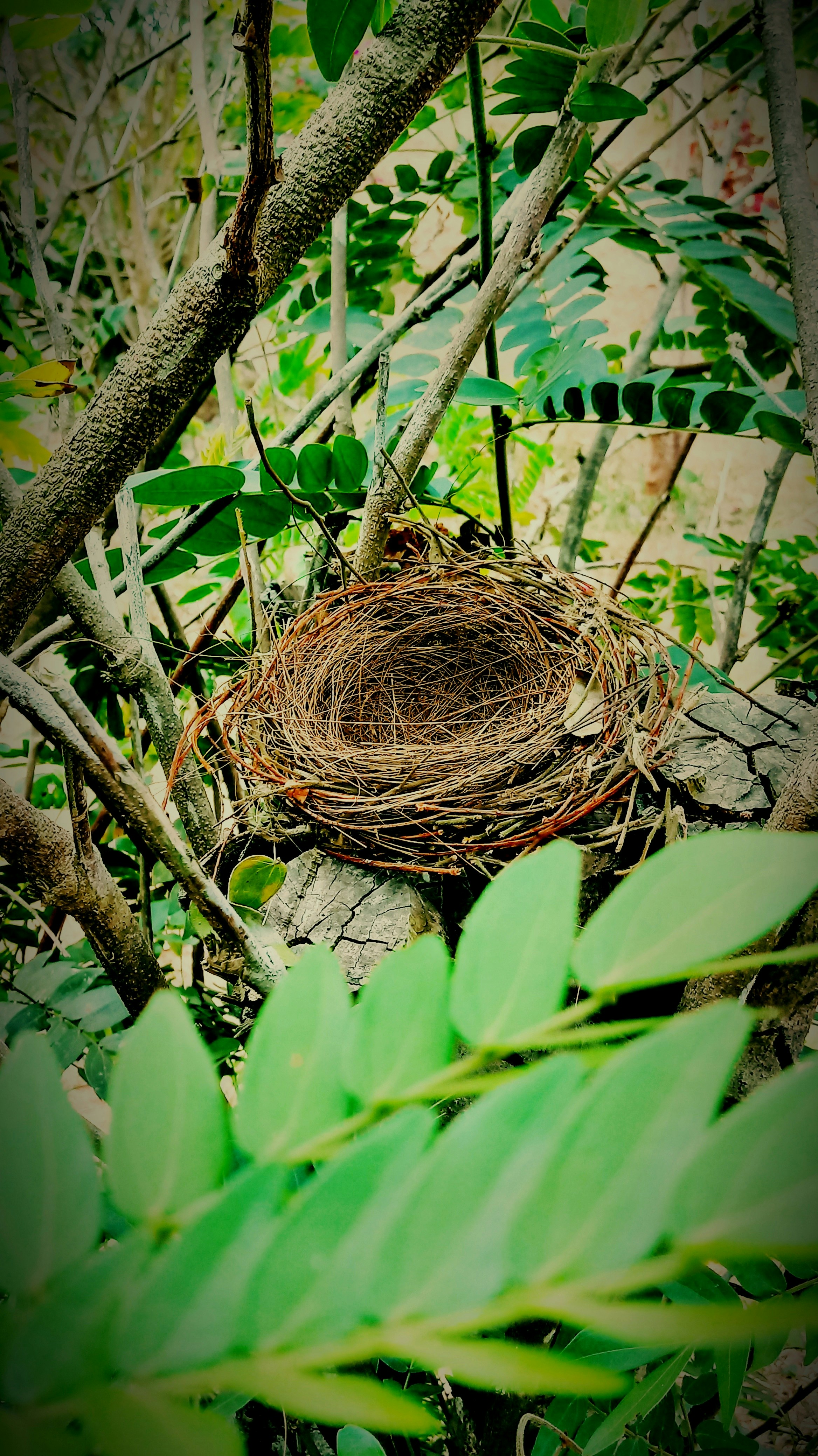 Empty Nest Symdrome