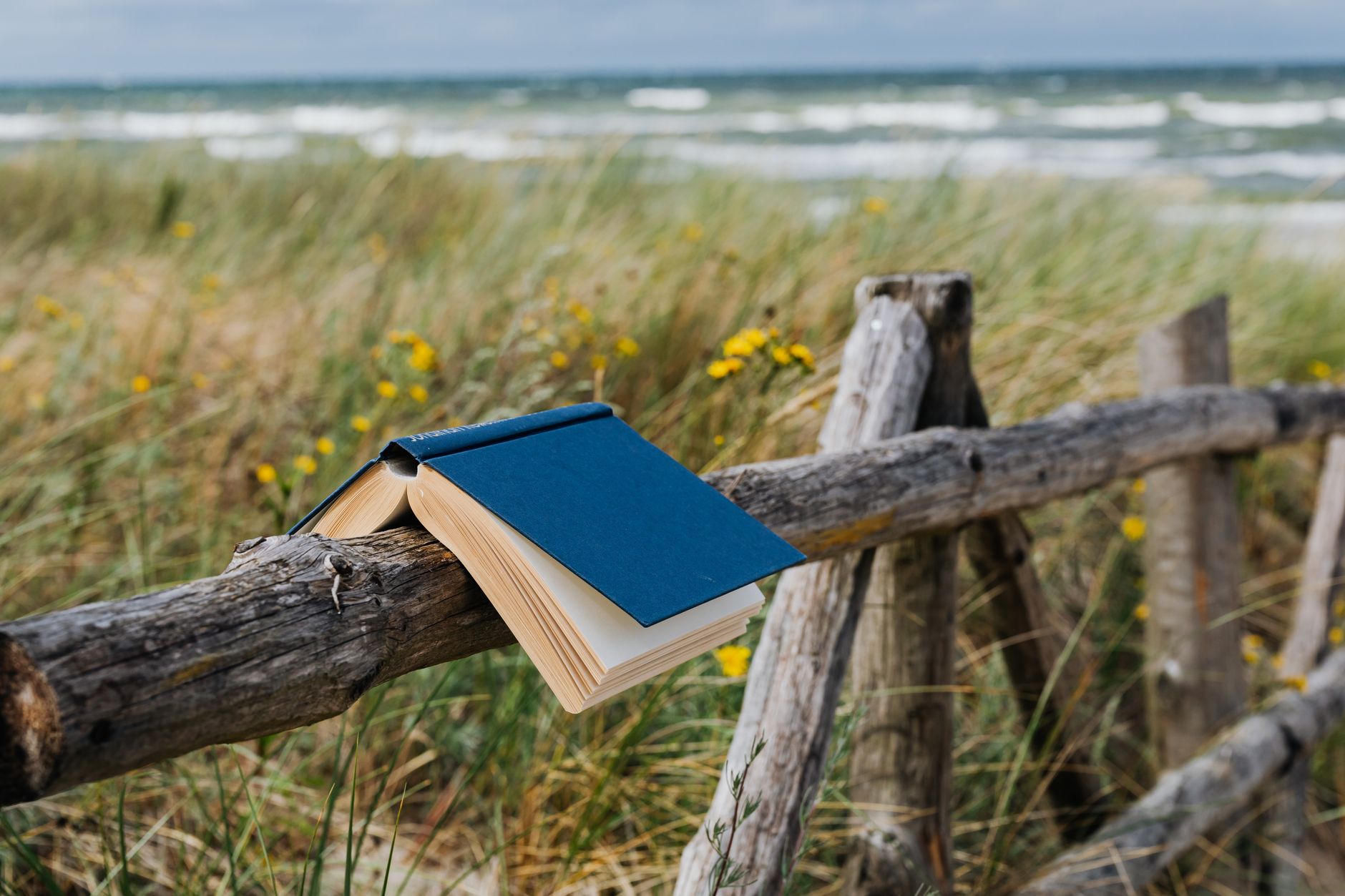 Book Review: From Something Old by Nick Alexander